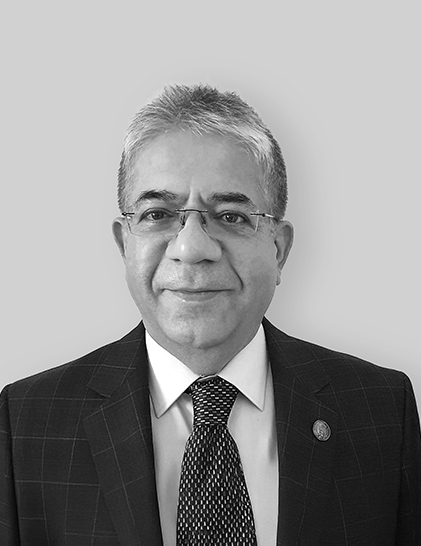 Team Member
